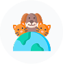 NGO icon